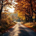 A scenic countryside road lined with vibrant autumn trees, capturing the essence of the fall season with a wide-angle lens and balanced lighting.